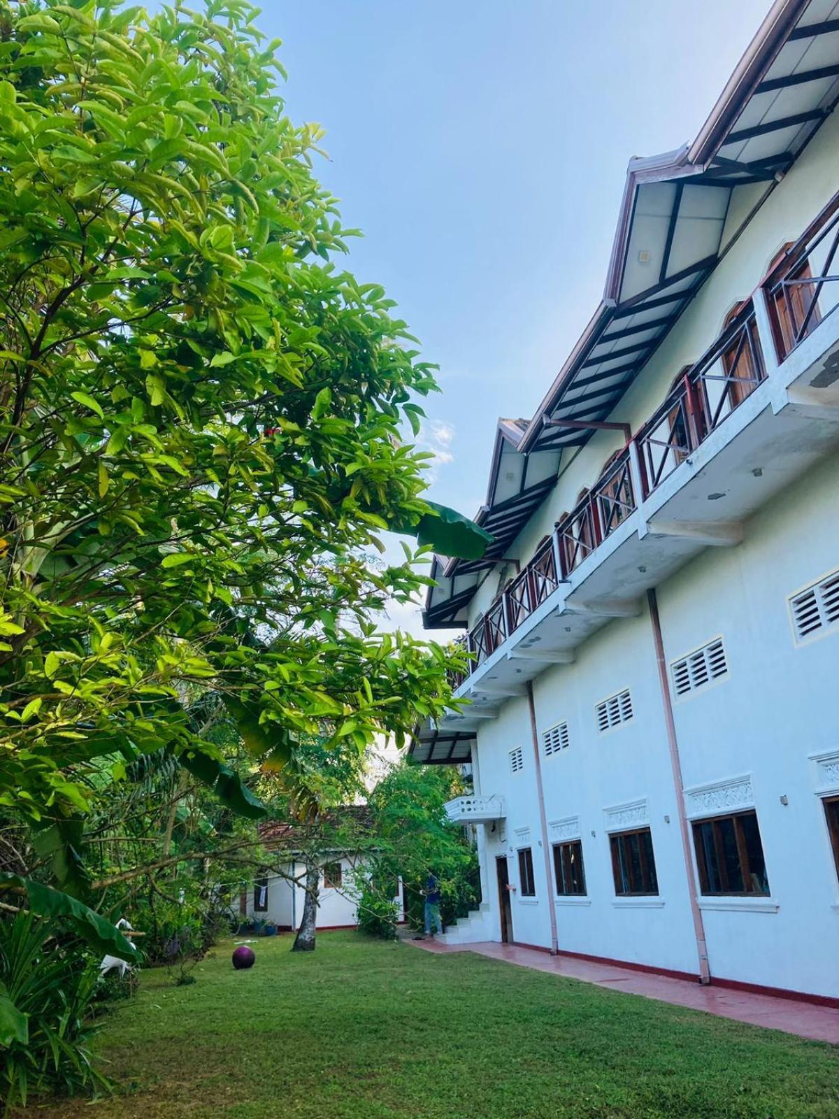 Skywalker Guest House เวลิกามา ภายนอก รูปภาพ